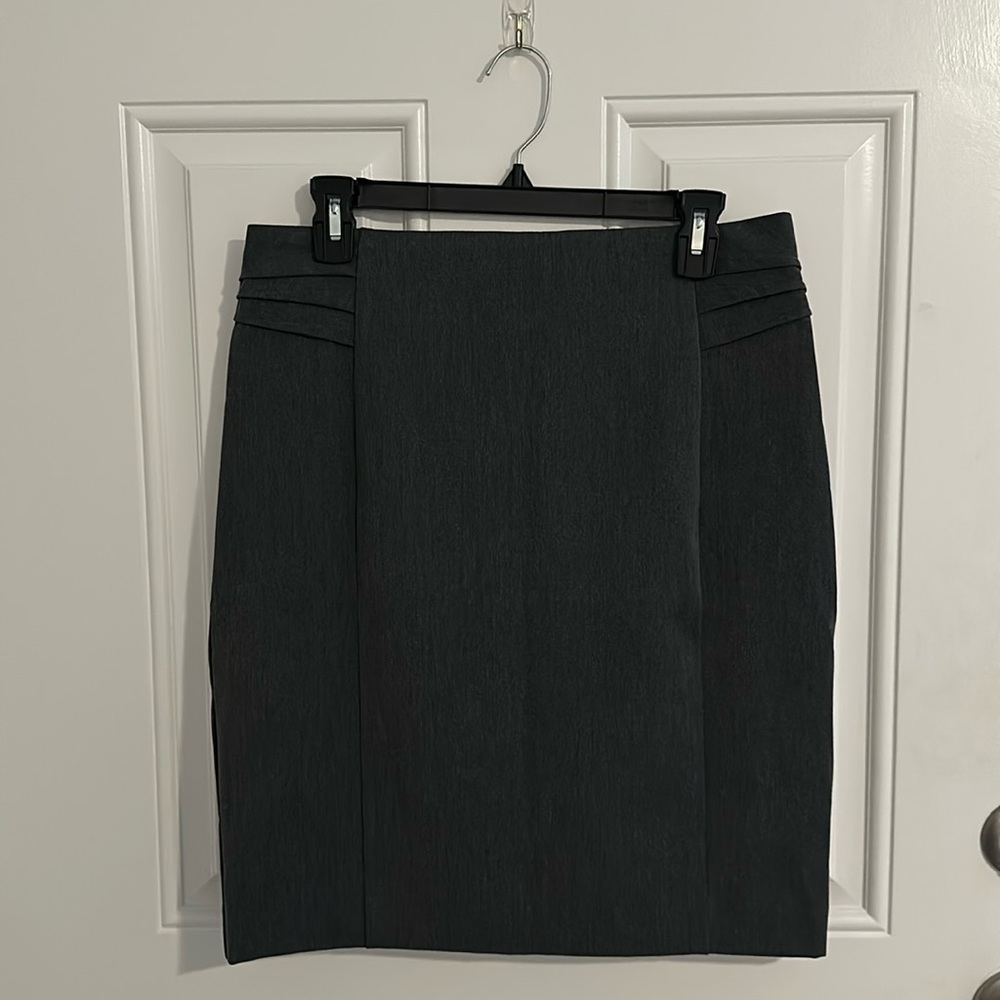 NWT EXPRESS SKIRT